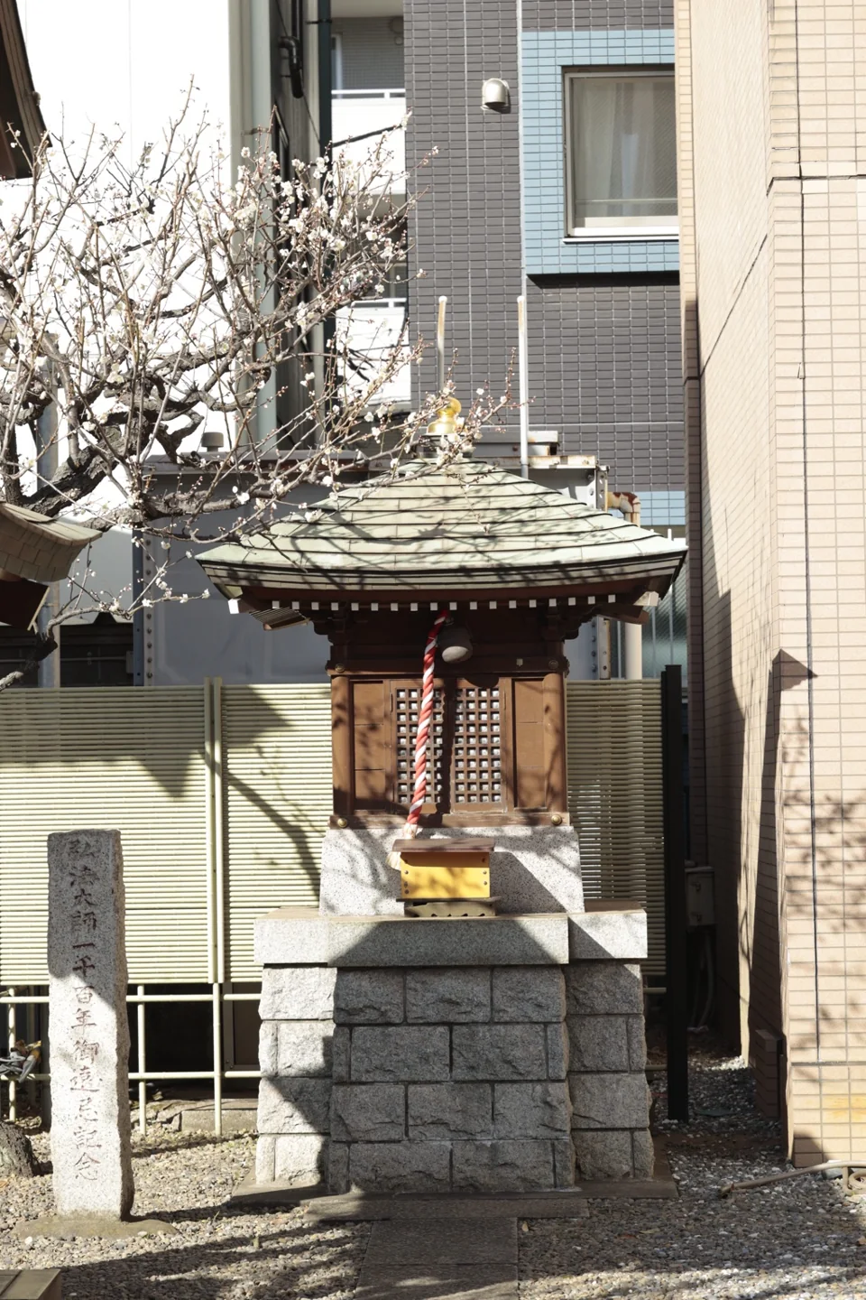 住宅の間に佇む小さな祠と、白い花をつけた木。
